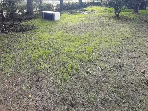 CARDONER Y DE LA TRADICIÓN 100