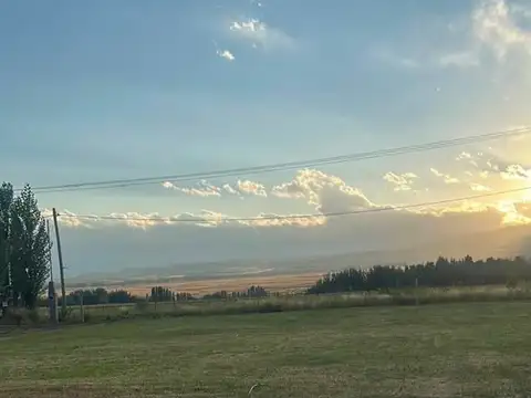 Ruta Provincial 89, La Carrera