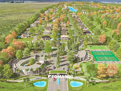 Barrio Developer Aqua
