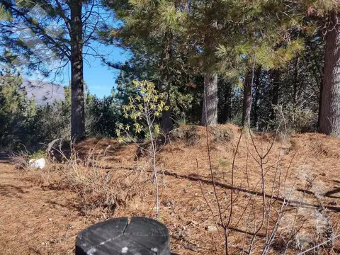 Terreno en Venta en San Martin de los Andes, Lácar