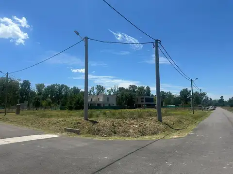 Tomas Espora 3300