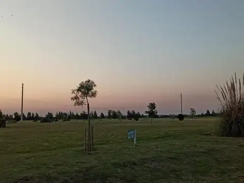 Caminos de las Carretas & Ugarteche