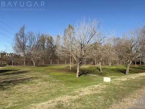 Venta Casa -  Los Arces / Pilar / Apta Credito