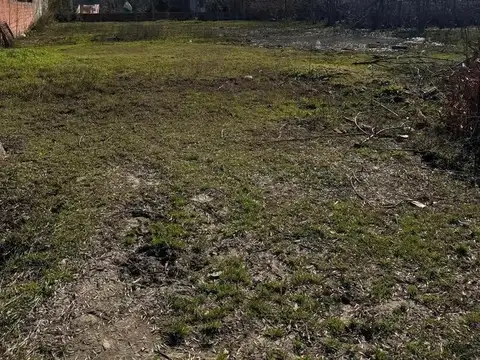 43 E 218 Y 219