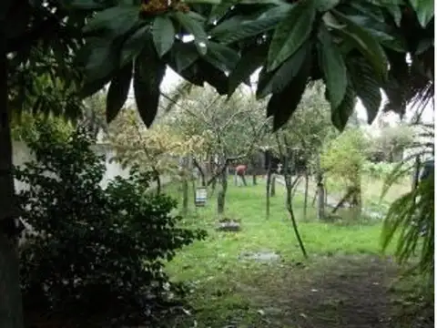 Negocio Especial Venta
