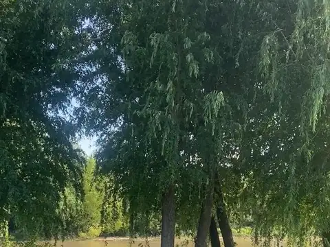 Terreno en Venta en Countries y Barrios Cerrados en Tigre, USD 139.000