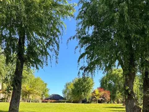 Terreno en Venta 47  mts Fondo