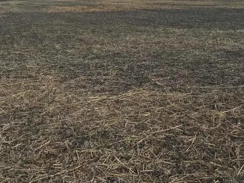 Campo en venta - 12.8Ha - San Nicolás