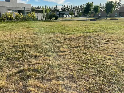 Terreno en Venta de 1041,0 m2
