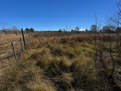 Terreno en Venta en Villa Quillinzo, Calamuchita