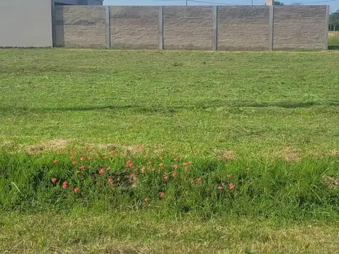 Excelente oportunidad de inversio, terreno en Esperanza 