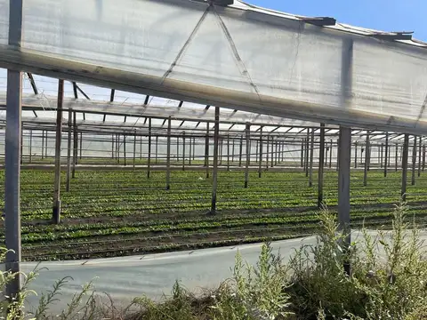 HECTAREAS EN VENTA LA PLATA