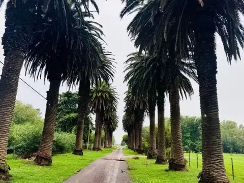 Terreno en Venta en San Miguel Del Monte, USD 50.000