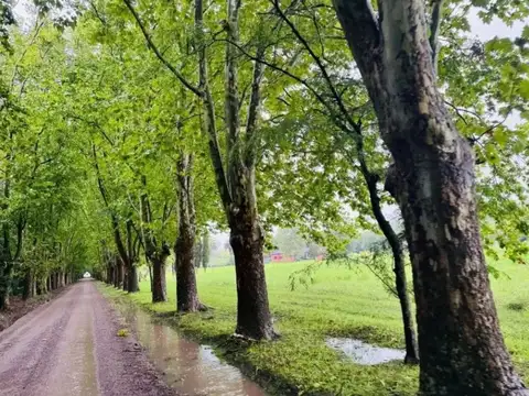 VENTA DE TERRENO EN CHACRAS DE SAN PABLO, MONTE