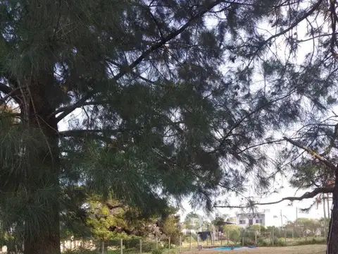 OPORTUNIDAD UNICA LOTE EN VENTA CON PILETA EN BARRIO CUMBRE DE LA ROSA, PILAR