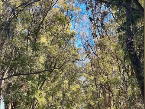 Terreno en Venta 75  mts Fondo