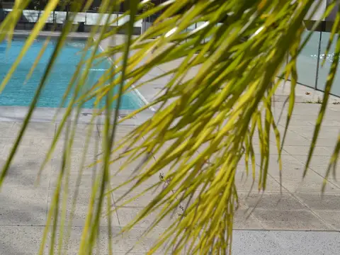 Departamento en Alquiler Temporal en Belgrano Chico, USD 970