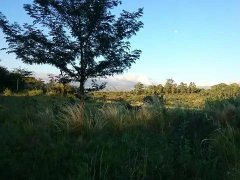 Terreno en Venta de 596,0 m2