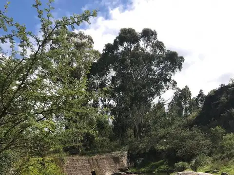 Club de Campo Los Tres Arroyos La Falda  Lte  7 Mz Ñ