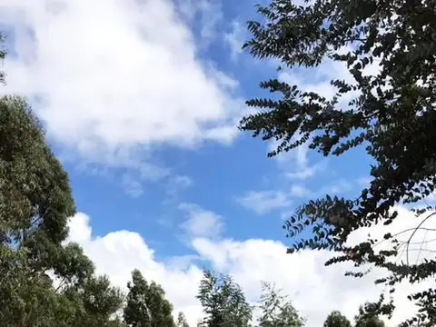 Terreno en Venta de 596,0 m2