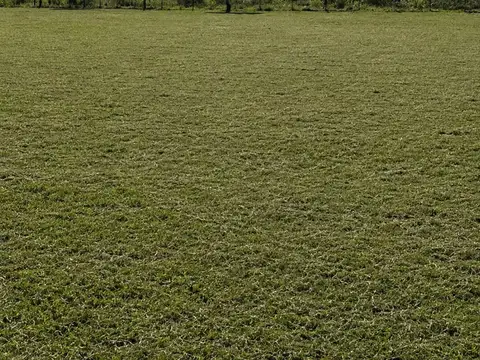Lote en venta con vista al rio parana