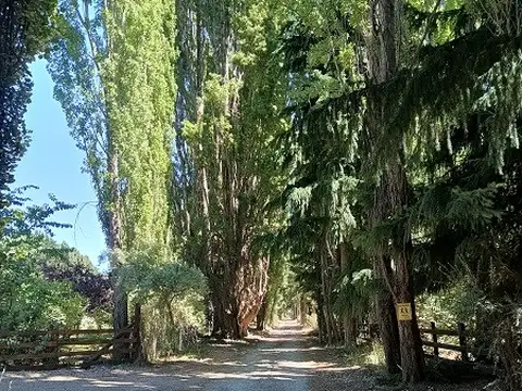 Terreno en Venta de 2500,0 m2