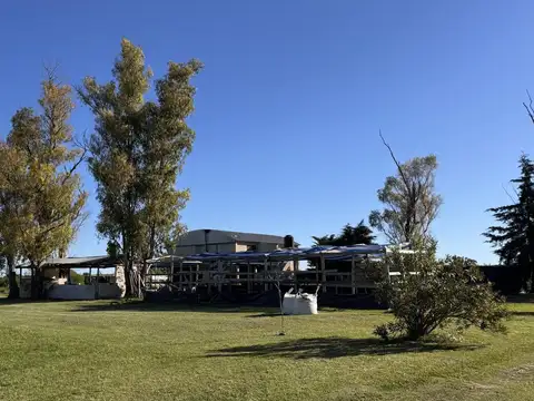 Casa con 1,92 Ha zona Ejido Colón