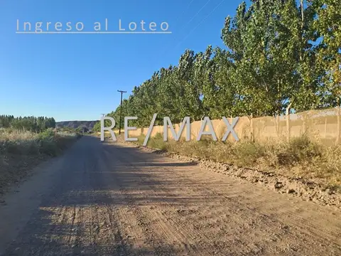 Terreno en Venta de 325,0 m2