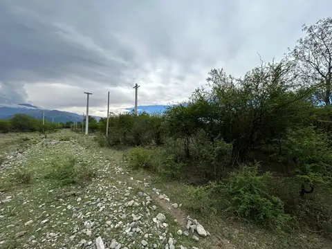 TERRENO EN VENTA LA TOMA