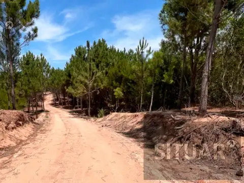 Terreno en  Venta en Northbeach Barrio Santa Mónica