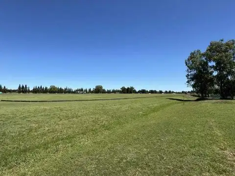 Terreno en Venta de 1356,0 m2