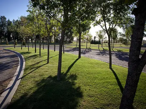 Terreno en Venta de 1356,0 m2