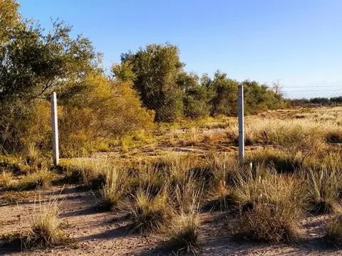 Terreno en Venta en Vistalba, USD 590.000