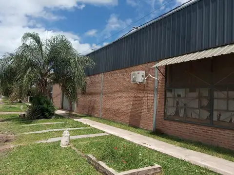 Santa M. De Oro 2500