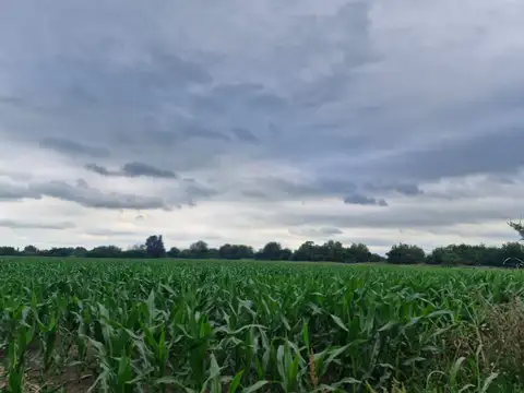 VENTA 16 HECTAREAS AGRICOLAS COLONIA CAROYA CBA