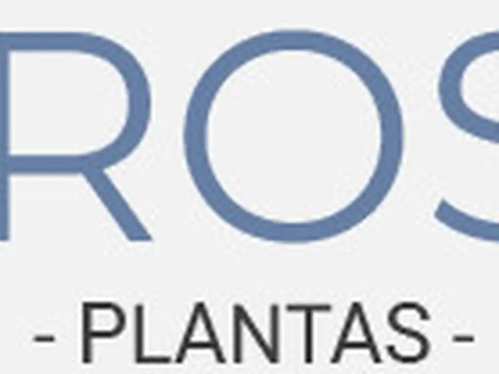 KAIROS 27 - Foto 19