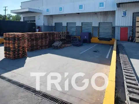Galpon en Alquiler 60  mts Fondo