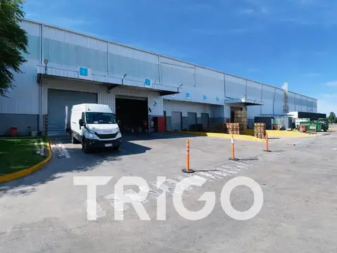 Depósito nave AAA 5.000m2 en alquiler en Garín, Escobar, Panamericana
