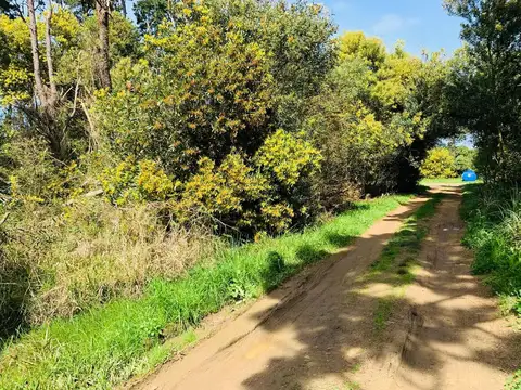 Terreno en Venta de 512,0 m2