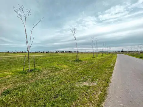 Terreno en Venta en Vida Club De Campo, USD 210.000