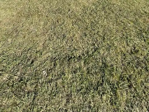 Terreno en Venta de 2000,0 m2