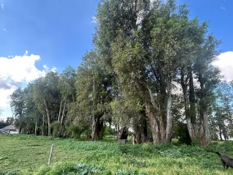 Cuartel Cuarto del Pasaje, Partido de Lujan