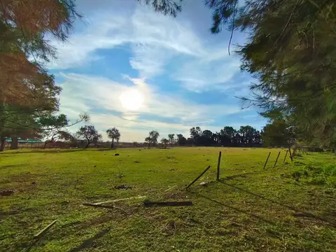 Terreno en Venta de 37664,0 m2