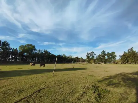Terreno en Venta 162  mts Fondo