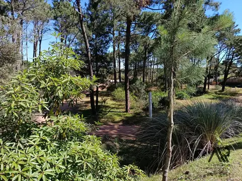 Terreno en Venta 90  mts Frente