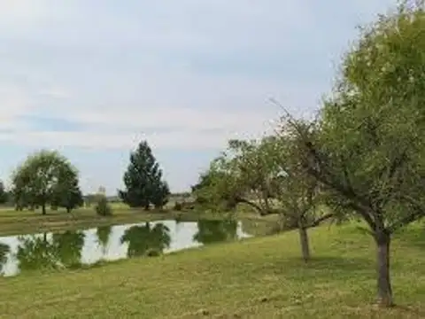 VENTA LOTE FINANCIADO LOS CARDALES  LAS CALANDRIAS