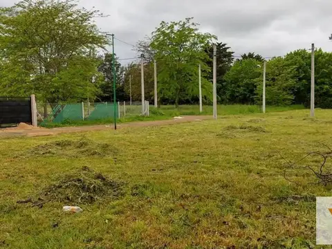 Terreno en venta - 455mts2 - Villa Elisa