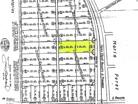 TERRENO EN VENTA 3 HECTAREAS - PEREZ 