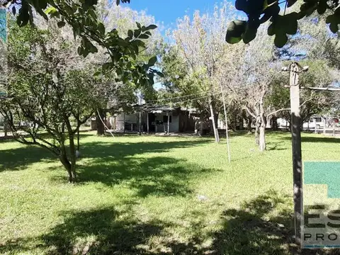 Santa Teresa