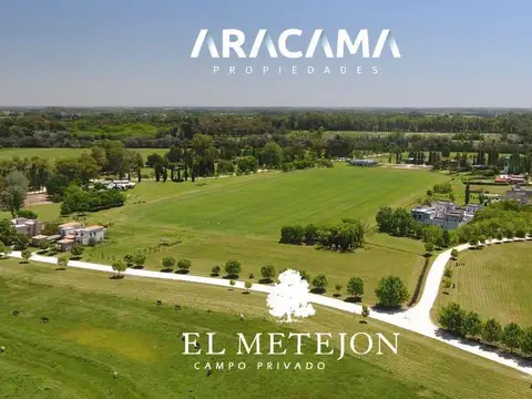 El Metejon
